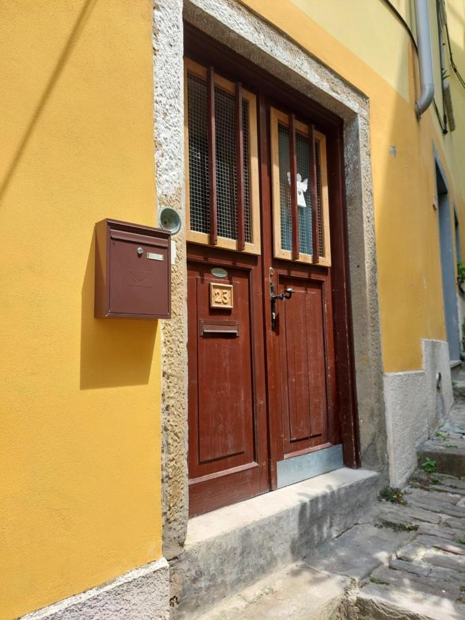Studio Cebelica Piran Exteriér fotografie