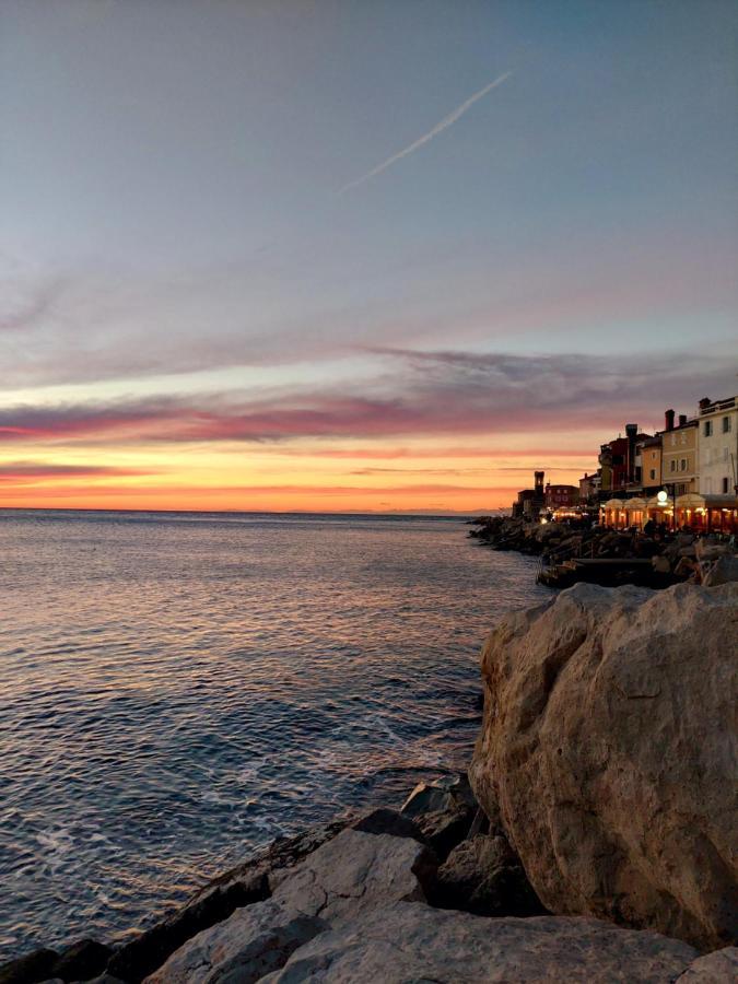 Studio Cebelica Piran Exteriér fotografie